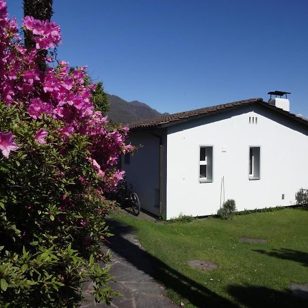 Residenza Paradiso Di Vacanze Minusio Exterior foto