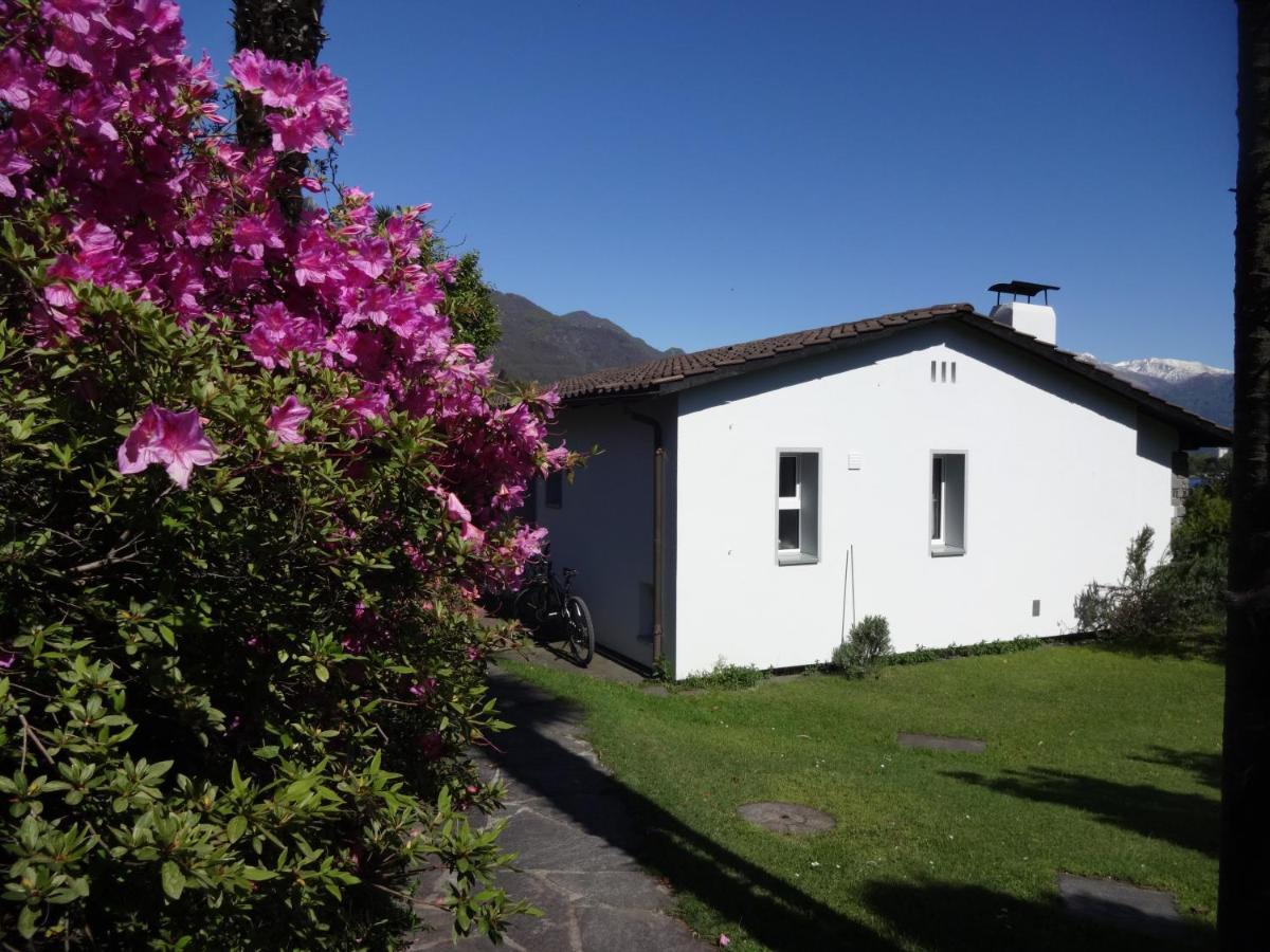 Residenza Paradiso Di Vacanze Minusio Exterior foto