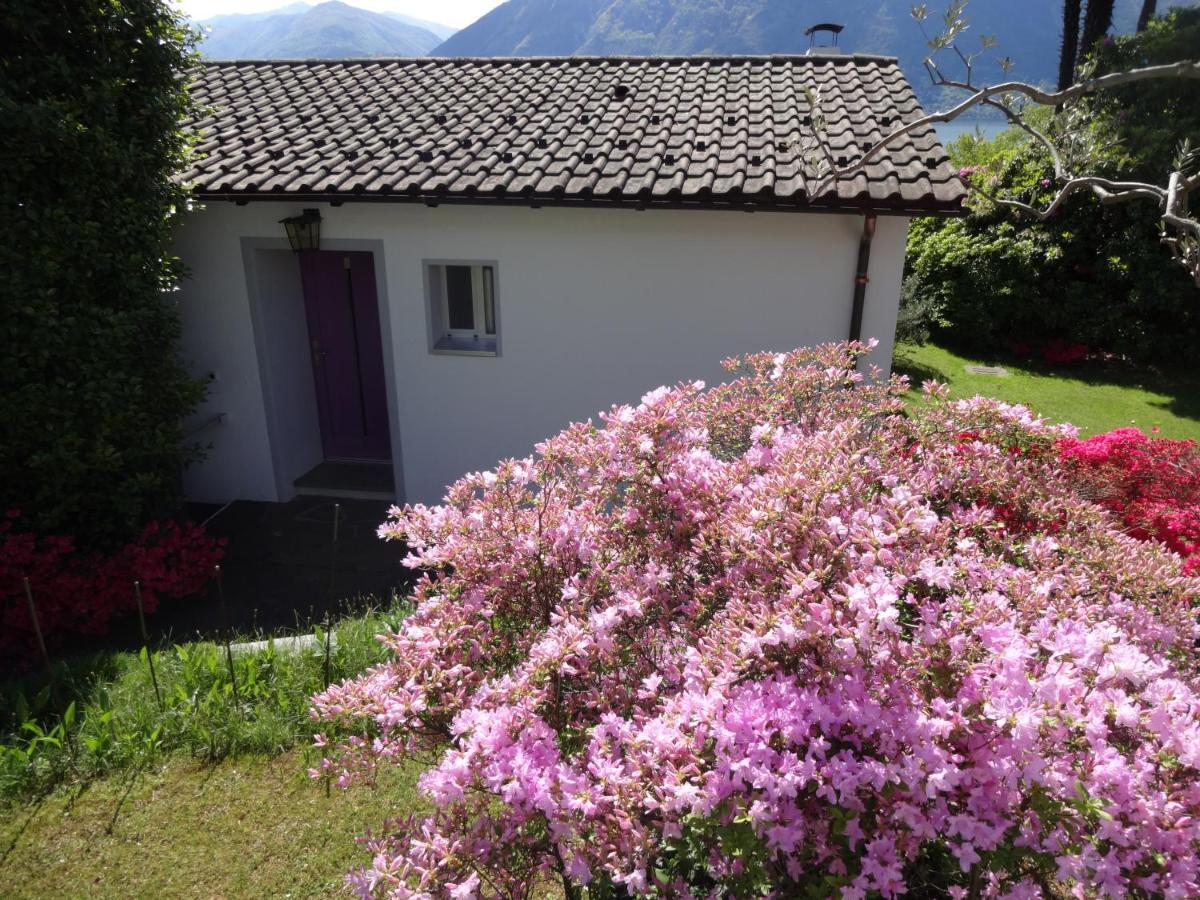 Residenza Paradiso Di Vacanze Minusio Exterior foto