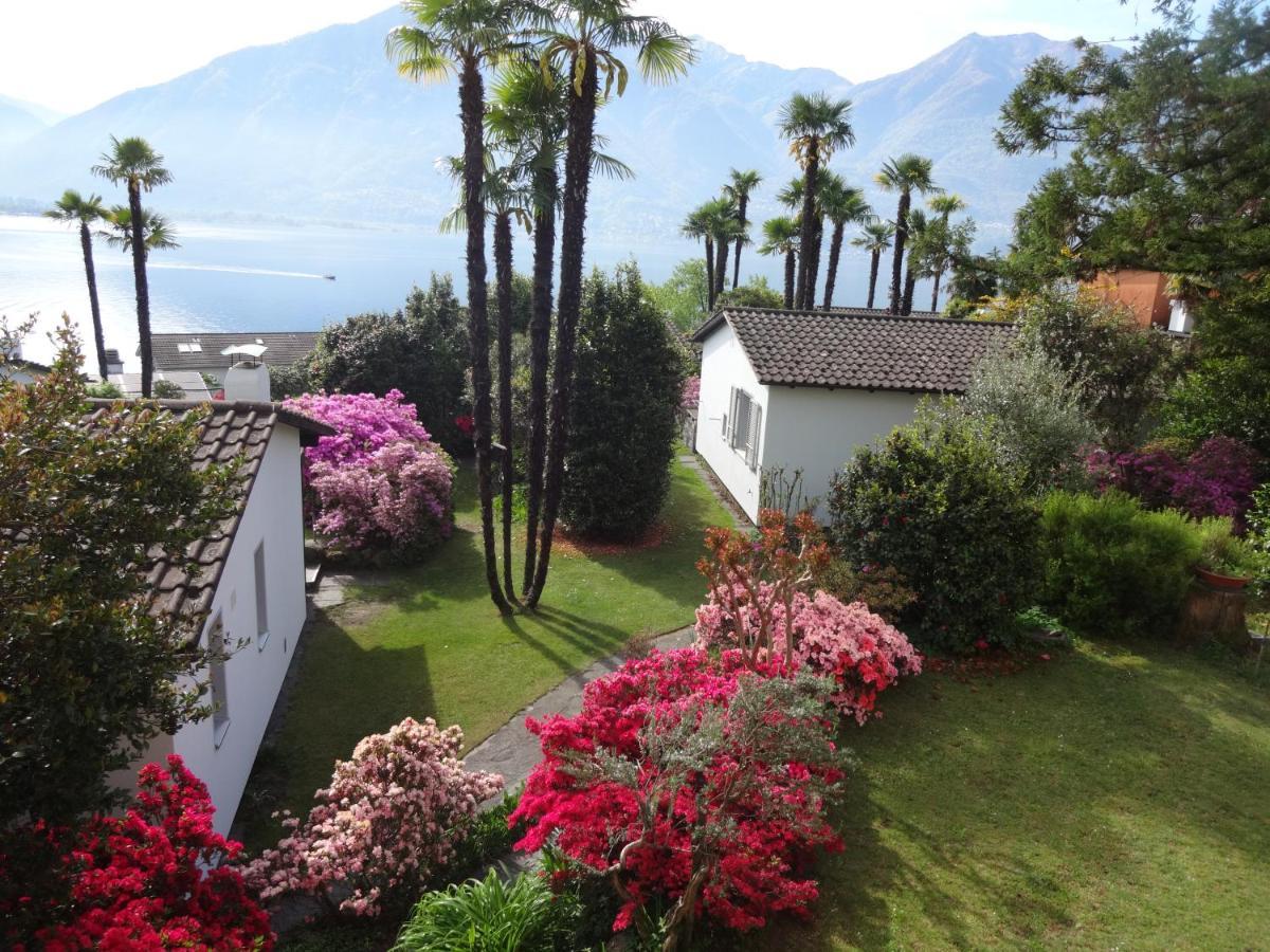 Residenza Paradiso Di Vacanze Minusio Exterior foto