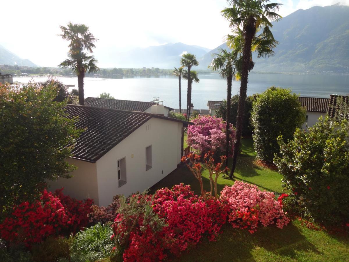 Residenza Paradiso Di Vacanze Minusio Exterior foto
