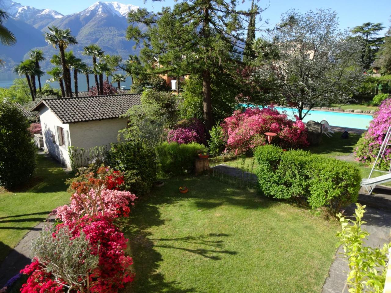 Residenza Paradiso Di Vacanze Minusio Exterior foto