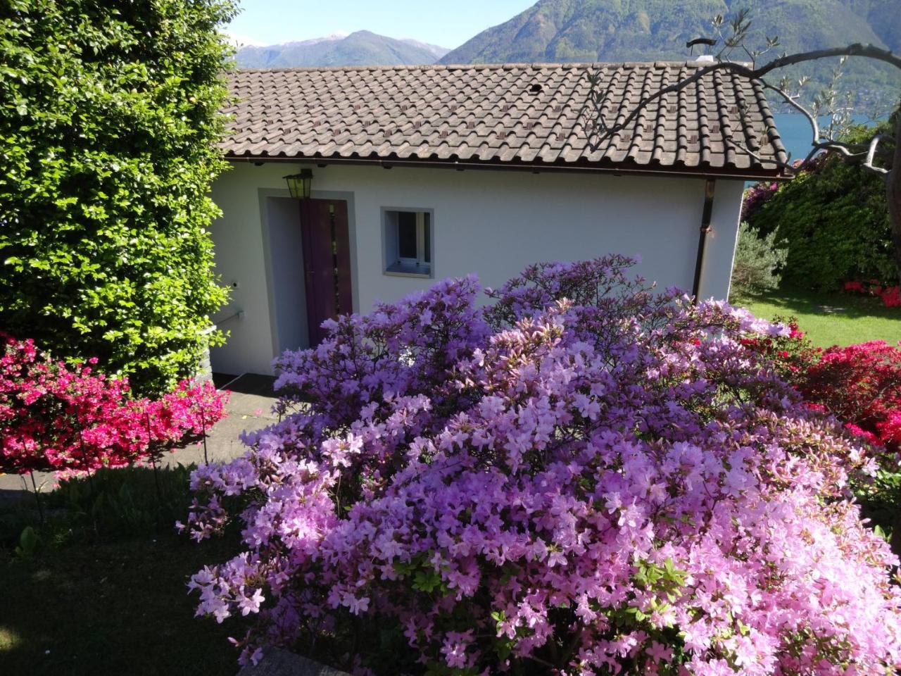Residenza Paradiso Di Vacanze Minusio Exterior foto